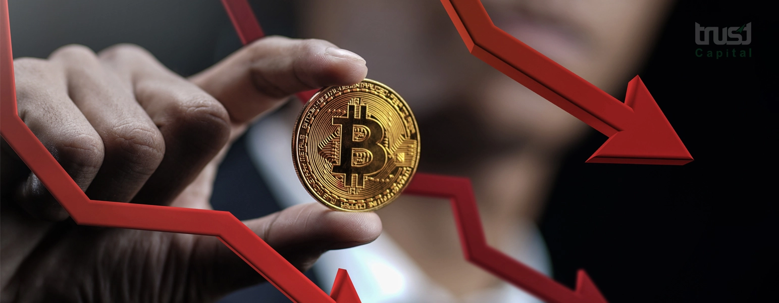 Bitcoin Dominance - Trust Capital